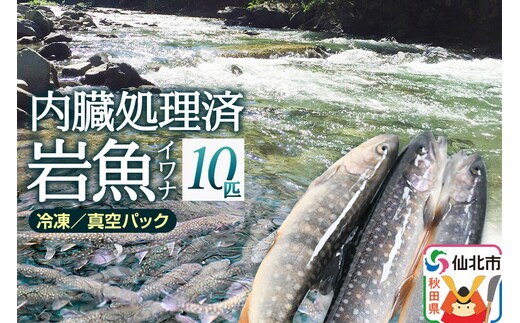 岩魚（イワナ）冷凍 内臓処理済み 10匹 長四郎