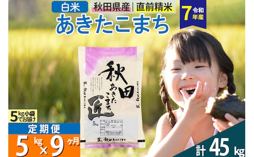 【白米】＜令和7年産＞ 《定期便9ヶ月》秋田県産 あきたこまち 5kg (5kg×1袋)×9回 5キロ お米 匠
