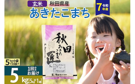 【玄米】＜令和7年産＞ 秋田県産 あきたこまち 5kg (5kg×1袋) 5キロ お米 匠