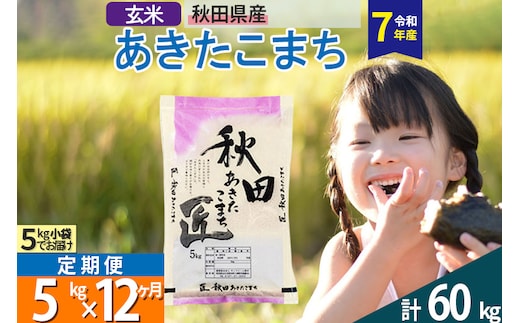 【玄米】＜令和7年産＞ 《定期便12ヶ月》秋田県産 あきたこまち 5kg (5kg×1袋)×12回 5キロ お米 匠