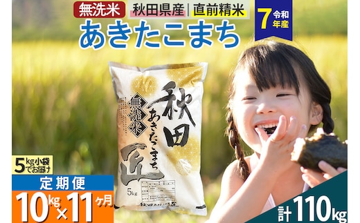 【無洗米】＜令和7年産＞《定期便11ヶ月》秋田県産 あきたこまち 10kg (5kg×2袋) ×11回 10キロ お米 匠