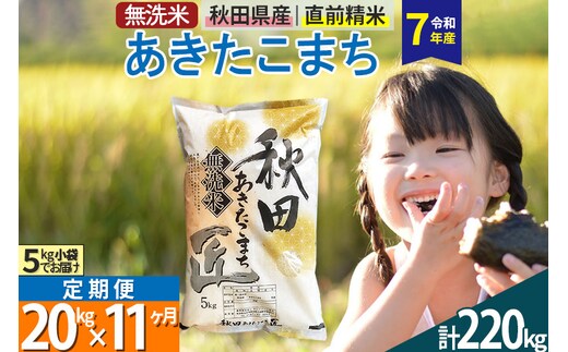 【無洗米】＜令和7年産＞《定期便11ヶ月》秋田県産 あきたこまち 20kg (5kg×4袋) ×11回 20キロ お米 匠