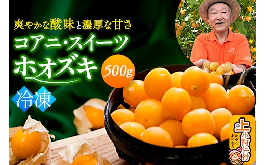 《冷凍》コアニ・スイーツホオズキ 500g ほおずき ゴールデンベリー スーパーフード たじゅうろう農園
