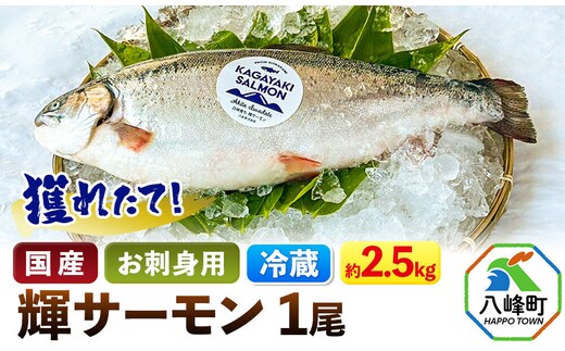 獲れたて「輝サーモン」 まるごと1尾 (約2.5kg)【生・冷蔵】 鮭 さけ お刺身や塩焼きに 国産 秋田県産 [鮭 さけ サーモン フィレ 生 冷蔵 新鮮 魚 海鮮 秋田県 八峰町]