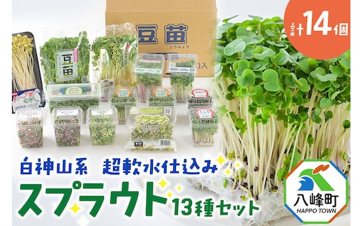 スプラウト、かいわれなど13種セット【白神山系 超軟水仕込み】 計14個 [スプラウト かいわれ カイワレ 野菜 サラダ 香草 飾り付け ベジタブル 秋田県八峰町産 国産]