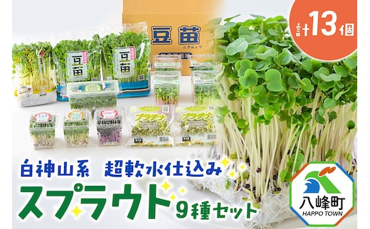 スプラウト、かいわれなど9種セット【白神山系 超軟水仕込み】 計13個 [スプラウト かいわれ カイワレ 野菜 サラダ 香草 飾り付け ベジタブル 秋田県八峰町産 国産]