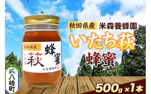はちみつ いたち萩蜂蜜 国産 500g×1本 秋田県産100％ 秋田白神の天然蜂蜜 米森養蜂園 [はちみつ 天然 いたち萩蜂蜜 500g1本 蜂蜜 国産 ハチミツ ハニー 養蜂 白神山地 自然 まろやか]