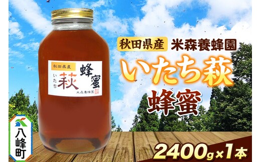 はちみつ いたち萩蜂蜜 国産 2400g×1本 秋田県産100％ 秋田白神の天然蜂蜜 米森養蜂園 [はちみつ 天然 いたち萩蜂蜜 2400g1本 蜂蜜 国産 ハチミツ ハニー 養蜂 白神山地 自然 まろやか 大容量]