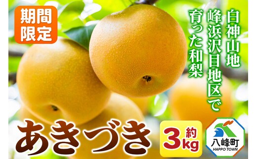 ～期間限定～白神山地峰浜沢目地区で育った和梨「あきづき」約3kg [期間限定 和梨 あきづき 梨 ナシ なし 秋田県産 甘い ジューシー 白神山地 峰浜沢目地区]