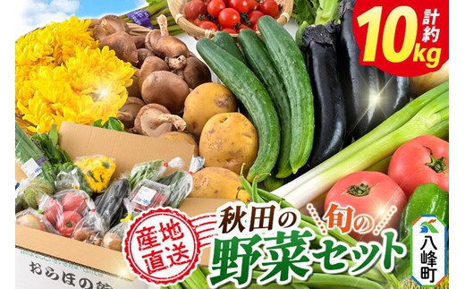 野菜 詰合せ 世界遺産「白神山地」の自然で採れた旬の野菜詰め合わせ 秋田県八峰町 おらほの館 [白神山地 野菜 旬の野菜 詰め合わせ セット 秋田県産]