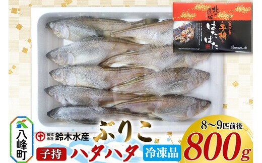 子持ち ハタハタ ブリコ ぶりこ メス 800g（8～9匹前後）冷凍品 はたはた 鰰 子持ちハタハタ 子持ちはたはた 鈴木水産 秋田県