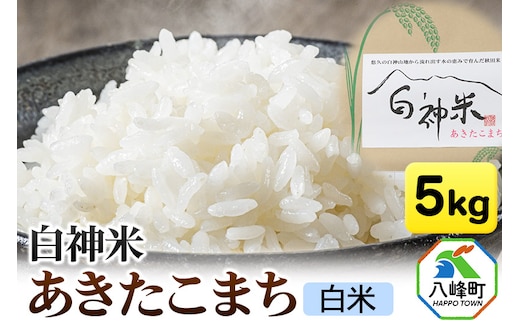 白神米 あきたこまち 秋田県産 5kg【白米】令和7年産