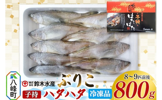 子持ち ハタハタ ブリコ ぶりこ メス 800g（8～9匹前後）冷凍品 はたはた 鰰 子持ちハタハタ 子持ちはたはた 鈴木水産 秋田県