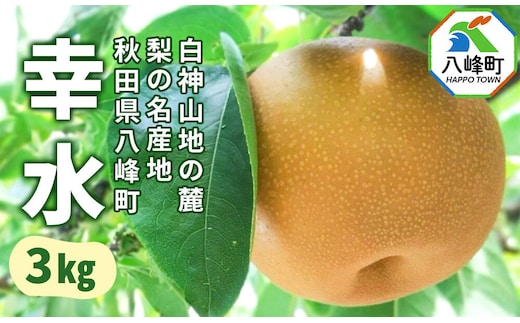 【9月発送 先行受付】梨 幸水 3kg 白神山地の麓 峰浜の梨 笠原果樹園 [先行予約 梨 なし 幸水 和梨 3kg 白神山地 世界自然遺産 笠原果樹園 シャリシャリ 果汁 たっぷり 八峰町 峰浜 やっほーfarm]