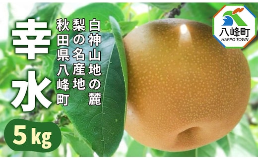 【9月発送 先行受付】梨 幸水 5kg 白神山地の麓 峰浜の梨 笠原果樹園 [先行予約 梨 なし 幸水 和梨 5kg 白神山地 世界自然遺産 笠原果樹園 シャリシャリ 果汁 たっぷり 八峰町 峰浜 やっほーfarm]