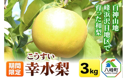梨 幸水 3kg【期間限定】 白神山地峰浜沢目地区で育った和梨 秋田県八峰町産 おらほの館 先行受付 [先行予約 和梨 幸水 梨 ナシ なし 3kg 秋田県産 期間限定 白神山地 峰浜沢目地区 甘い みずみずしい]