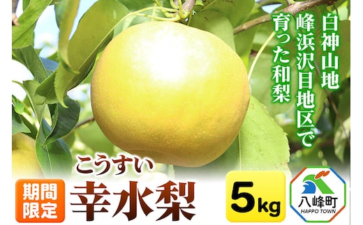 梨 幸水 5kg【期間限定】 白神山地峰浜沢目地区で育った和梨 秋田県八峰町産 おらほの館 先行受付 [先行予約 和梨 幸水 梨 ナシ なし 5kg 秋田県産 期間限定 白神山地 峰浜沢目地区 甘い みずみずしい]