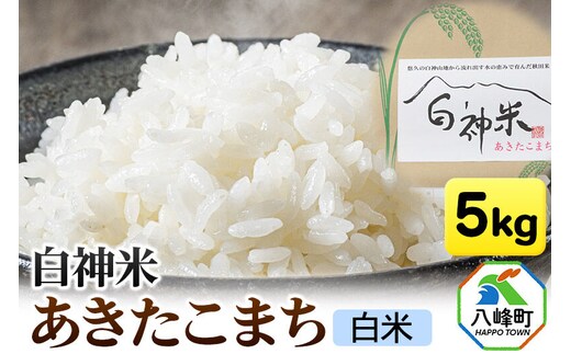 米 あきたこまち 白神米 秋田県産 5kg【白米】令和7年産 [あきたこまち 白米 精米 米 白神米 秋田県産]