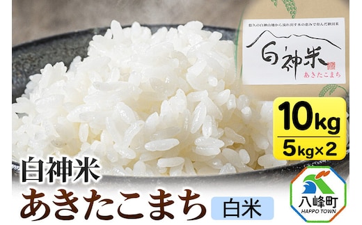 米 あきたこまち 白神米 秋田県産 10kg【白米】令和7年産 [あきたこまち 白米 精米 米 白神米 秋田県産]
