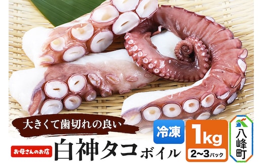 白神タコ ボイル 約1kg（2～3パック）冷凍 秋田県八峰町沖産 [白神タコ 白神たこ 蛸 ボイル 茹でダコ 秋田県産 冷凍]