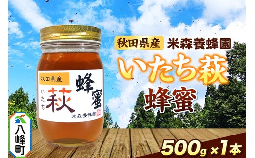はちみつ いたち萩蜂蜜 国産 500g×1本 秋田県産100％ 秋田白神の天然蜂蜜 米森養蜂園 [はちみつ 天然 いたち萩蜂蜜 500g1本 蜂蜜 国産 ハチミツ ハニー 養蜂 白神山地 自然 まろやか]