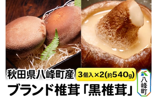 秋田県八峰町産 ブランド椎茸「黒椎茸」3個入×2パック（約540g）