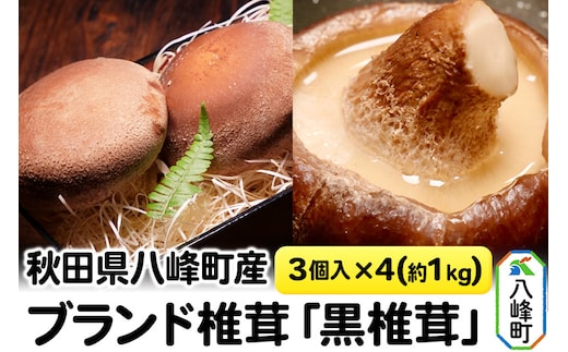 秋田県八峰町産 ブランド椎茸「黒椎茸」3個入×4パック（約1kg）