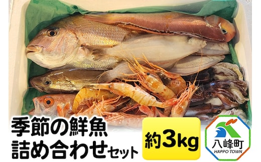 季節の鮮魚詰め合わせセット 約3kg 高級魚 鮮度抜群