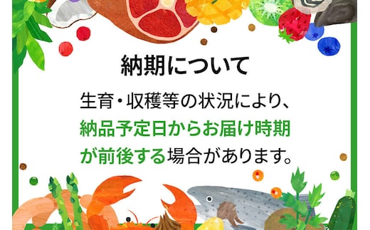 米＜令和8年産 新米予約＞あきたこまち【玄米】30kg 先行受付 秋田県