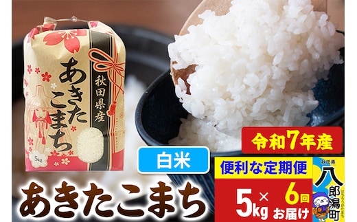 《定期便6ヶ月》【新米】 あきたこまち 5kg【白米】令和7年産 秋田県産 こまちライン
