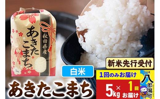 《令和8年産 新米受付》あきたこまち 精米 5kg 秋田県産 こまちライン [新米 先行受付 こまちライン あきたこまち ブランド米 お米 白米 精米 米どころ 秋田 秋田県産]