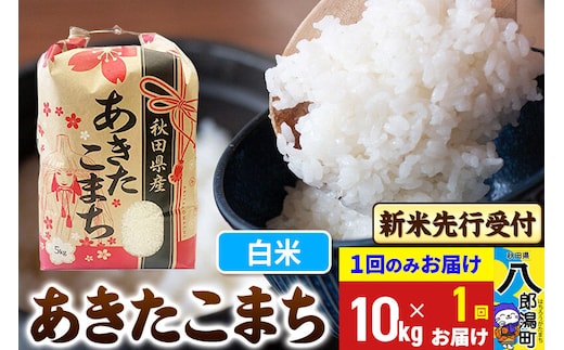 《令和8年産 新米受付》あきたこまち 精米 10kg 秋田県産 こまちライン [新米 先行受付 こまちライン あきたこまち ブランド米 お米 白米 精米 米どころ 秋田 秋田県産]