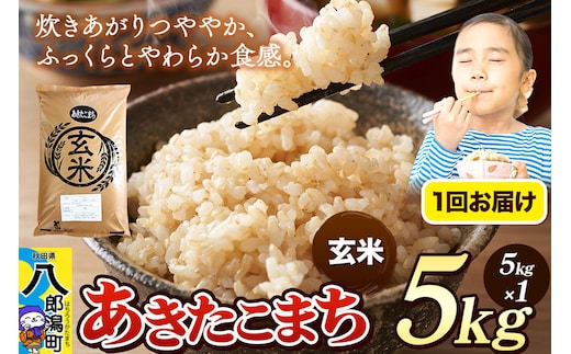 《令和8年産 新米》米 あきたこまち 5kg【玄米】秋田県産 [新米 米 コメ 玄米 あきたこまち おいしい 美味しい 安全 自然の恵み]