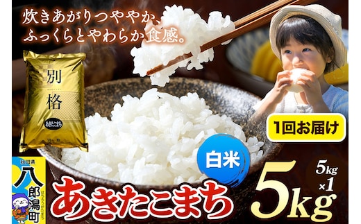 《令和8年産 新米》米 あきたこまち 5kg【白米】秋田県産 [新米 米 コメ 白米 あきたこまち おいしい 美味しい 安全 自然の恵み]