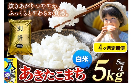 《令和8年産 新米》《定期便4ヶ月》米 あきたこまち 5kg【白米】秋田県産 [新米 米 コメ 白米 あきたこまち おいしい 美味しい 安全 自然の恵み]