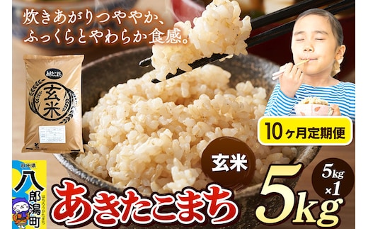 《令和8年産 新米》《定期便10ヶ月》米 あきたこまち 5kg【玄米】秋田県産 [新米 米 コメ 玄米 あきたこまち おいしい 美味しい 安全 自然の恵み]
