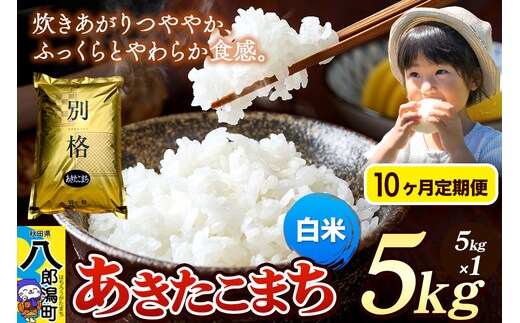 《令和8年産 新米》《定期便10ヶ月》米 あきたこまち 5kg【白米】秋田県産 [新米 米 コメ 白米 あきたこまち おいしい 美味しい 安全 自然の恵み]