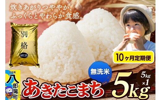 《令和8年産 新米》《定期便10ヶ月》米 あきたこまち 5kg【無洗米】秋田県産 [新米 米 コメ 無洗米 あきたこまち おいしい 美味しい 安全 自然の恵み]