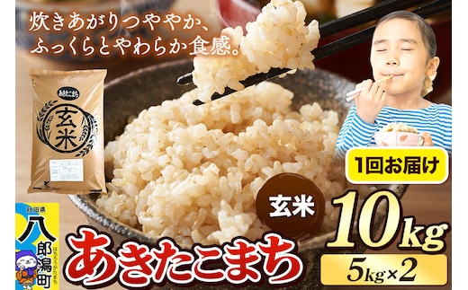 《令和8年産 新米》米 あきたこまち 10kg（5kg×2袋）【玄米】秋田県産 [新米 米 コメ 玄米 あきたこまち おいしい 美味しい 安全 自然の恵み]