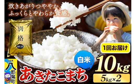《令和8年産 新米》米 あきたこまち 10kg（5kg×2袋）【白米】秋田県産 [新米 米 コメ 白米 あきたこまち おいしい 美味しい 安全 自然の恵み]