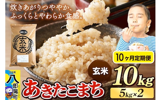 《令和8年産 新米》《定期便10ヶ月》米 あきたこまち 10kg（5kg×2袋）【玄米】秋田県産 [新米 米 コメ 玄米 あきたこまち おいしい 美味しい 安全 自然の恵み]