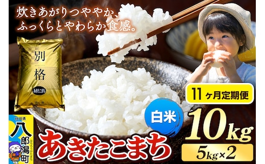 《令和8年産 新米》《定期便11ヶ月》米 あきたこまち 10kg（5kg×2袋）【白米】秋田県産 [新米 米 コメ 白米 あきたこまち おいしい 美味しい 安全 自然の恵み]