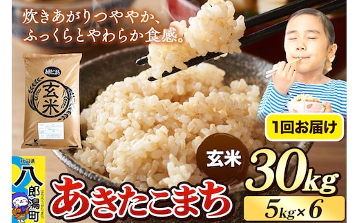 《令和8年産 新米》米 あきたこまち 30kg（5kg×6袋）【玄米】秋田県産 [新米 米 コメ 玄米 あきたこまち おいしい 美味しい 安全 自然の恵み]