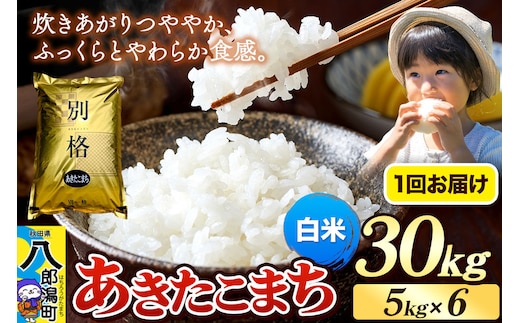 《令和8年産 新米》米 あきたこまち 30kg（5kg×6袋）【白米】秋田県産 [新米 米 コメ 白米 あきたこまち おいしい 美味しい 安全 自然の恵み]