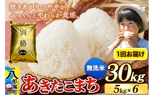 《令和8年産 新米》米 あきたこまち 30kg（5kg×6袋）【無洗米】秋田県産 [新米 米 コメ 無洗米 あきたこまち おいしい 美味しい 安全 自然の恵み]