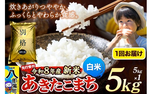 《令和8年産 新米受付》米 あきたこまち 5kg【白米】秋田県産 [新米 先行予約 先行受付 米 コメ 白米 あきたこまち おいしい 美味しい 安全 自然の恵み]
