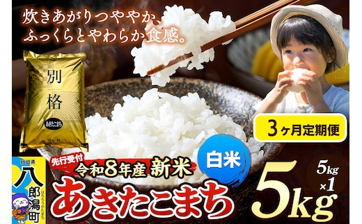 《令和8年産 新米受付》《定期便3ヶ月》米 あきたこまち 5kg【白米】秋田県産 [新米 先行予約 先行受付 米 コメ 白米 あきたこまち おいしい 美味しい 安全 自然の恵み]