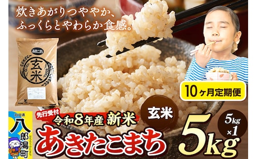 《令和8年産 新米受付》《定期便10ヶ月》米 あきたこまち 5kg【玄米】秋田県産 [新米 先行予約 先行受付 米 コメ 玄米 あきたこまち おいしい 美味しい 安全 自然の恵み]