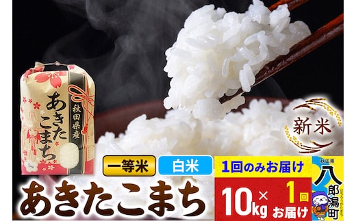 《新米》あきたこまち 一等米 精米 10kg 秋田県産 こまちライン [新米 こまちライン あきたこまち ブランド米 お米 白米 精米 米どころ 秋田 秋田県産]