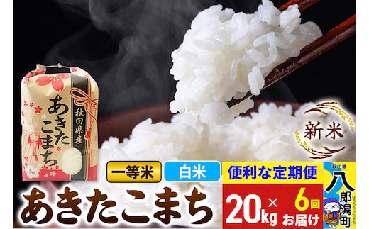 《新米》《定期便6ヶ月》あきたこまち 一等米 20kg【白米】 令和8年産 秋田県産 こまちライン [新米 こまちライン あきたこまち ブランド米 お米 白米 精米 米どころ 秋田 秋田県産]